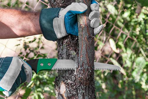 Small Tree Cutting Service